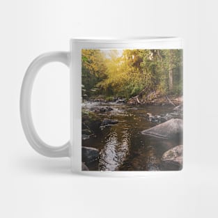 Glowing Sunshine on Creek and Autumn Forest Mug